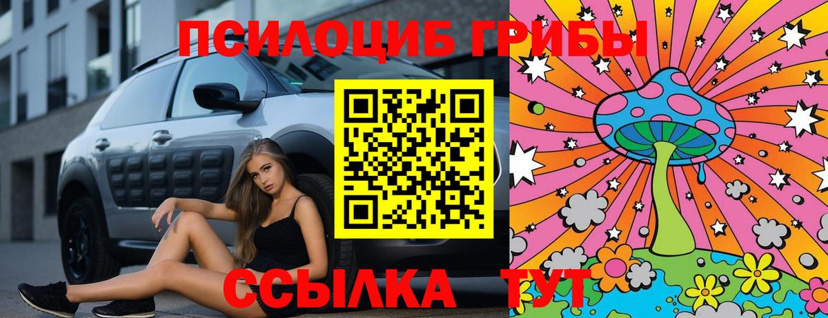 Псилоцибиновые грибы прущие грибы  где можно купить наркотик  Ессентуки  Вход с VPN 